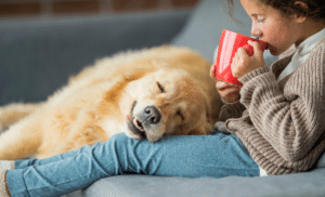 chien allongé sur une petite fille qui boit dans une tasse