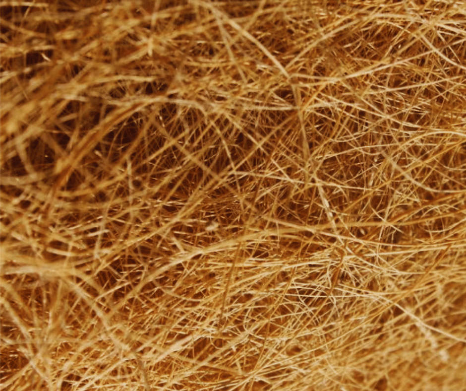 fibre de coco