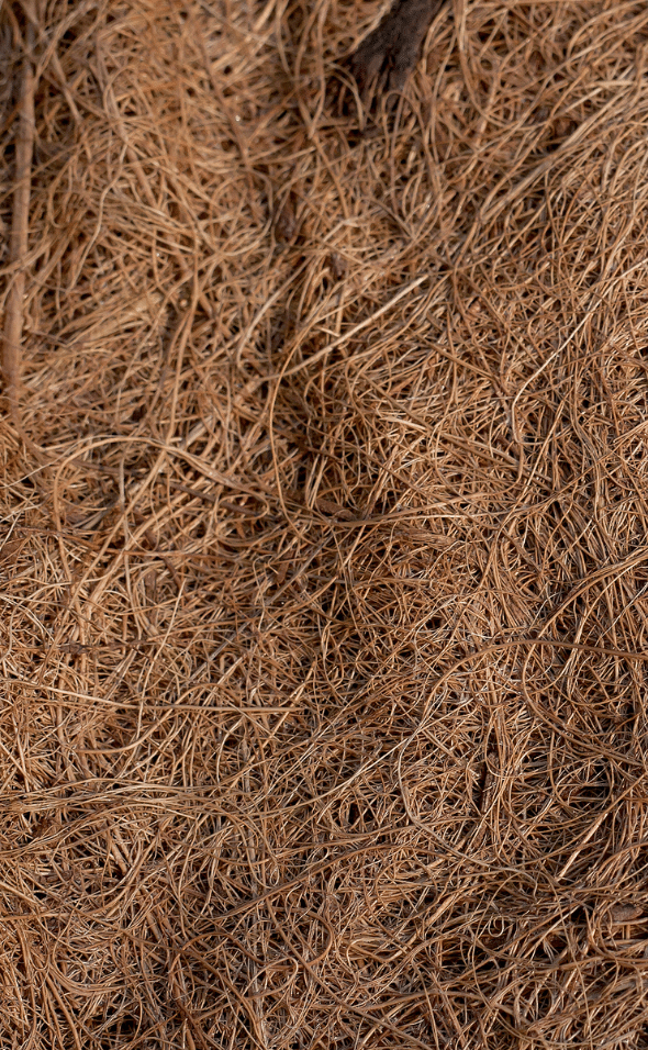 fibre de coco en panneau